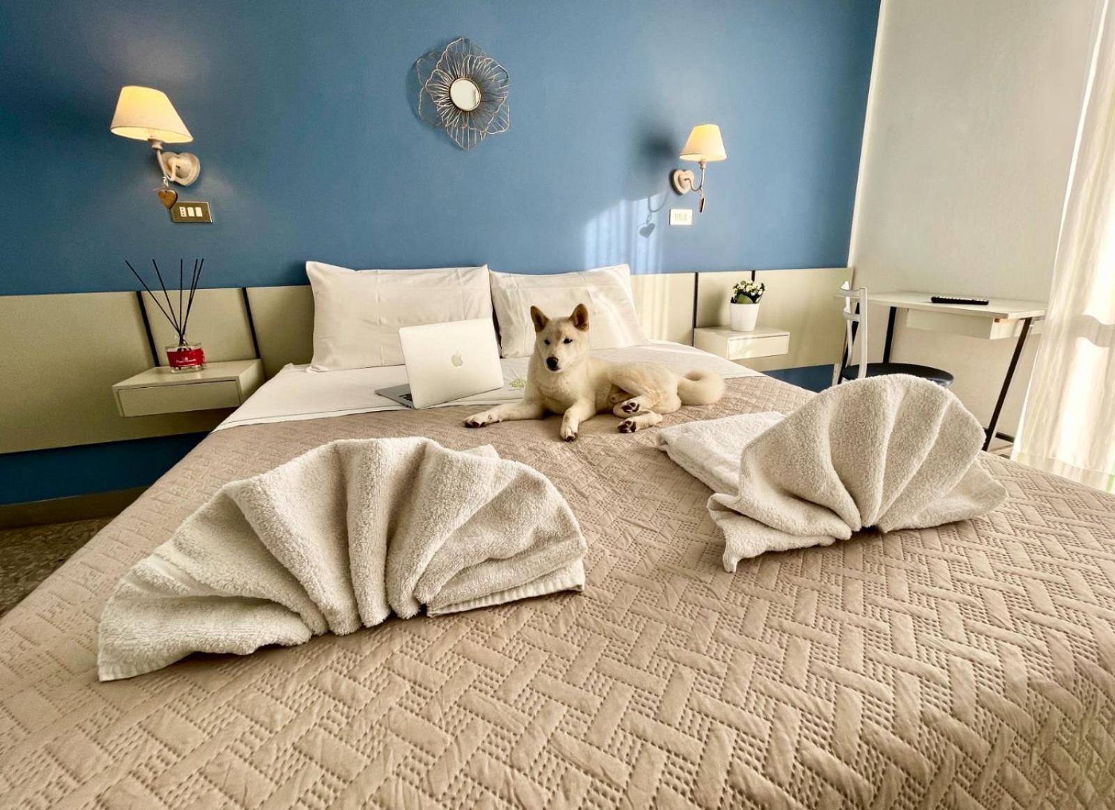 Hotel Alfa Anche In All Inclusive Ρίμινι Εξωτερικό φωτογραφία